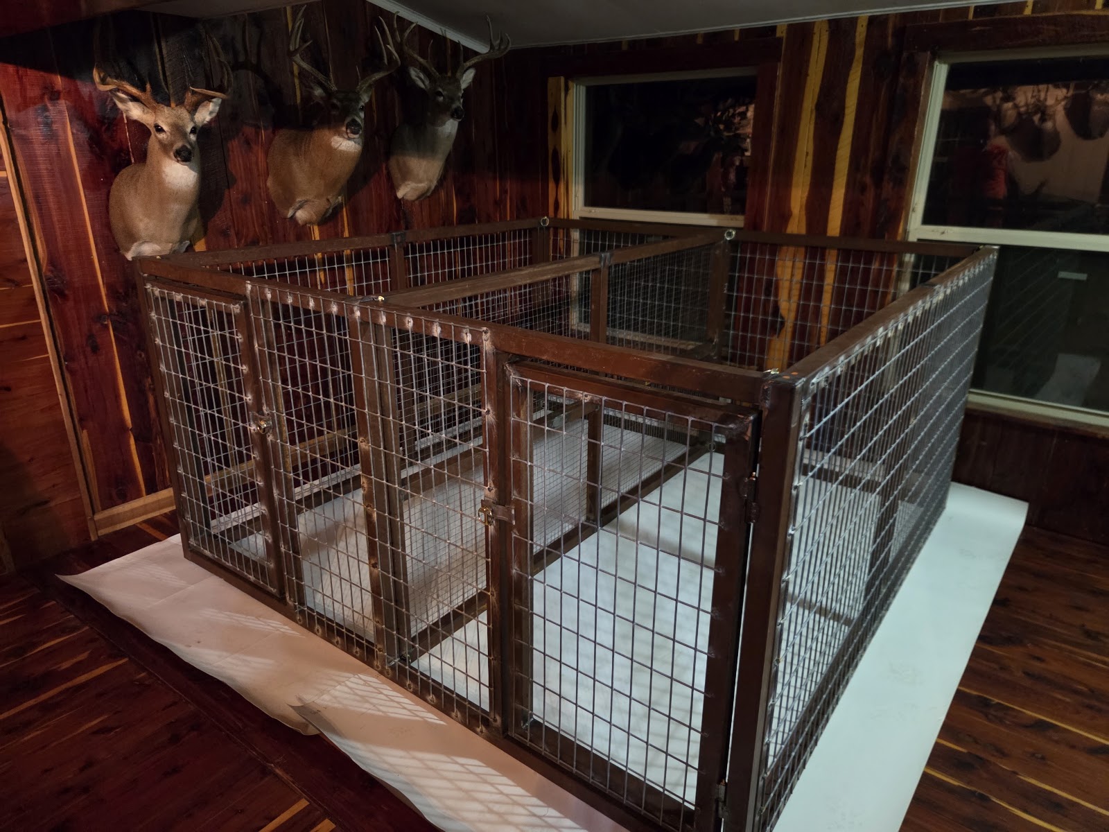 Custom kennel fabrication detail