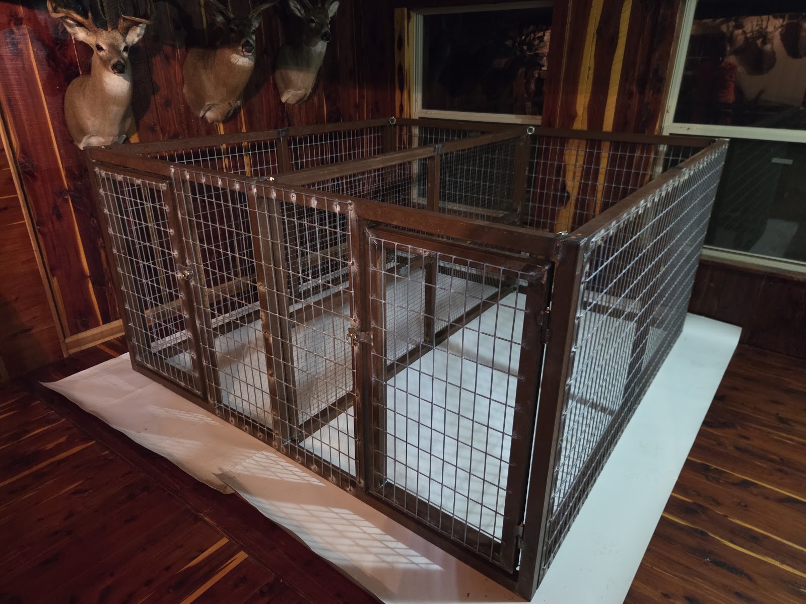 Completed custom welded multi-bay kennel