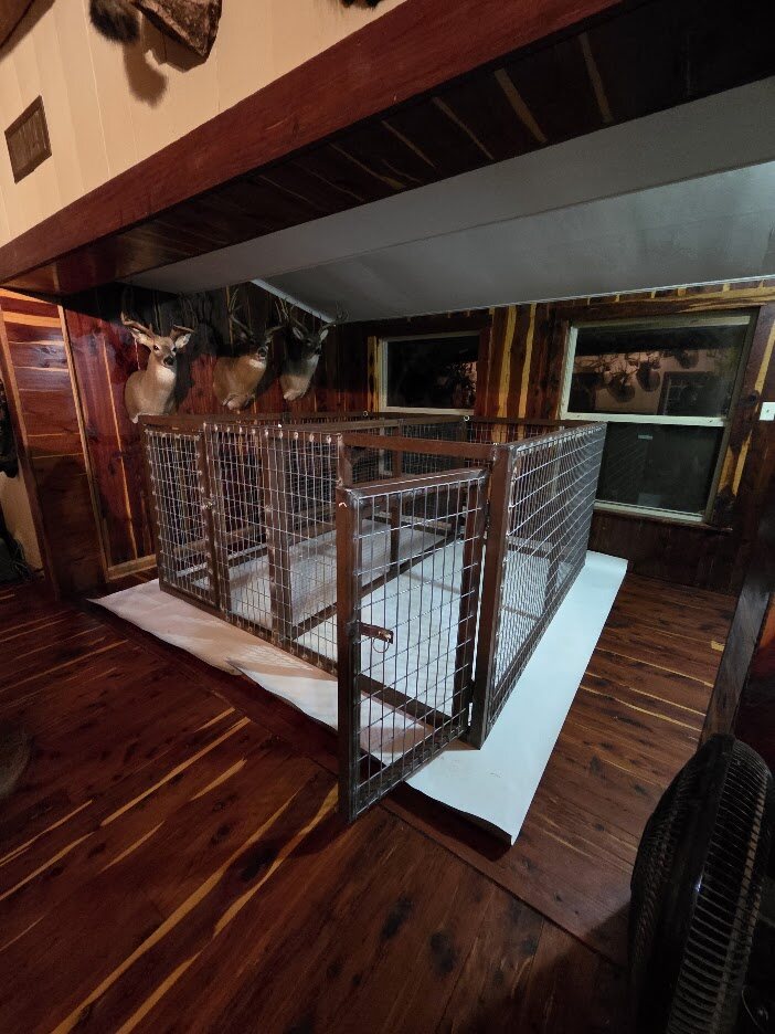 Installed custom multi-bay welded steel kennel