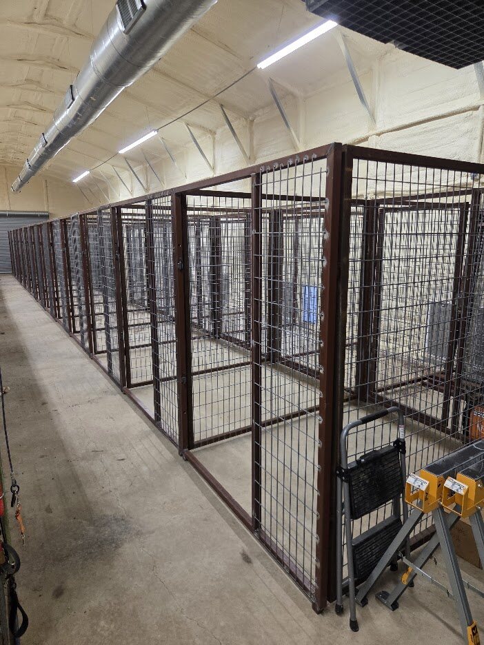 Long row of custom commercial kennel runs